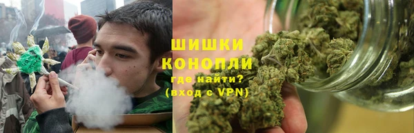 гидра Алексеевка