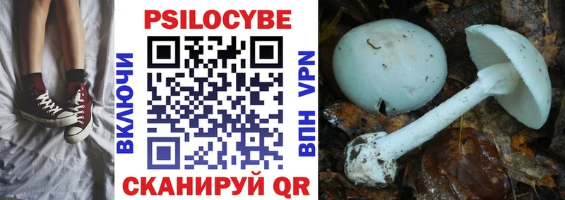 Купить  Карпинск  Галлюциногенные грибы мицелий 